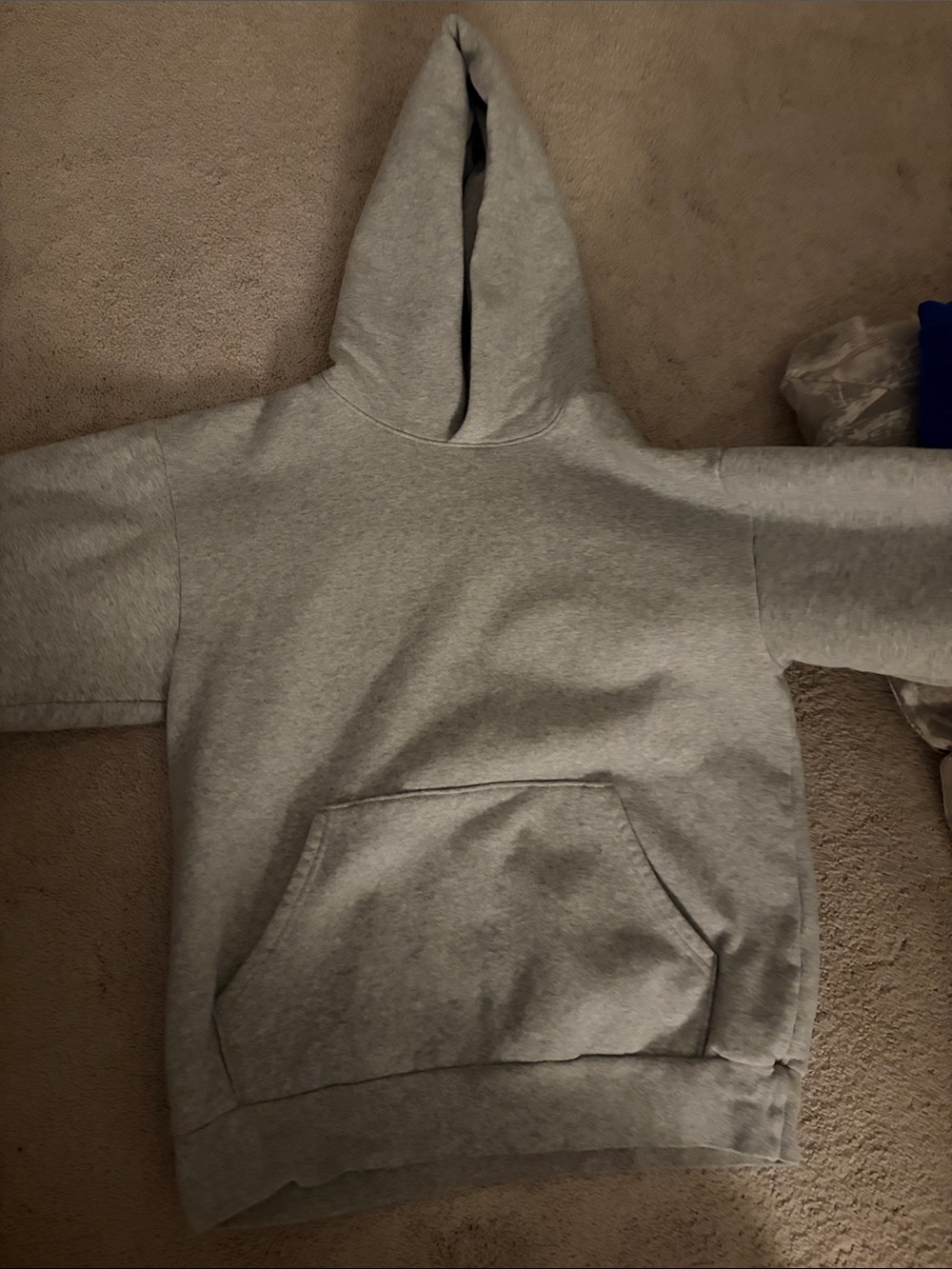 Aritzia Gray Hooded Sweatshirt